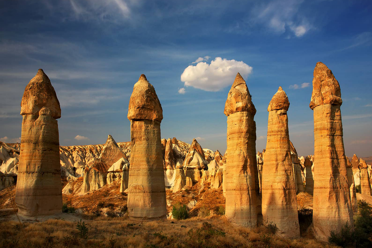   Galeri  - Jestur Turizm | Yurt İçi ve Yurt Dışı Kültür Turları 